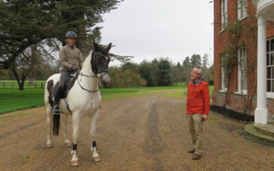 Suds & Mr. Hashimoto