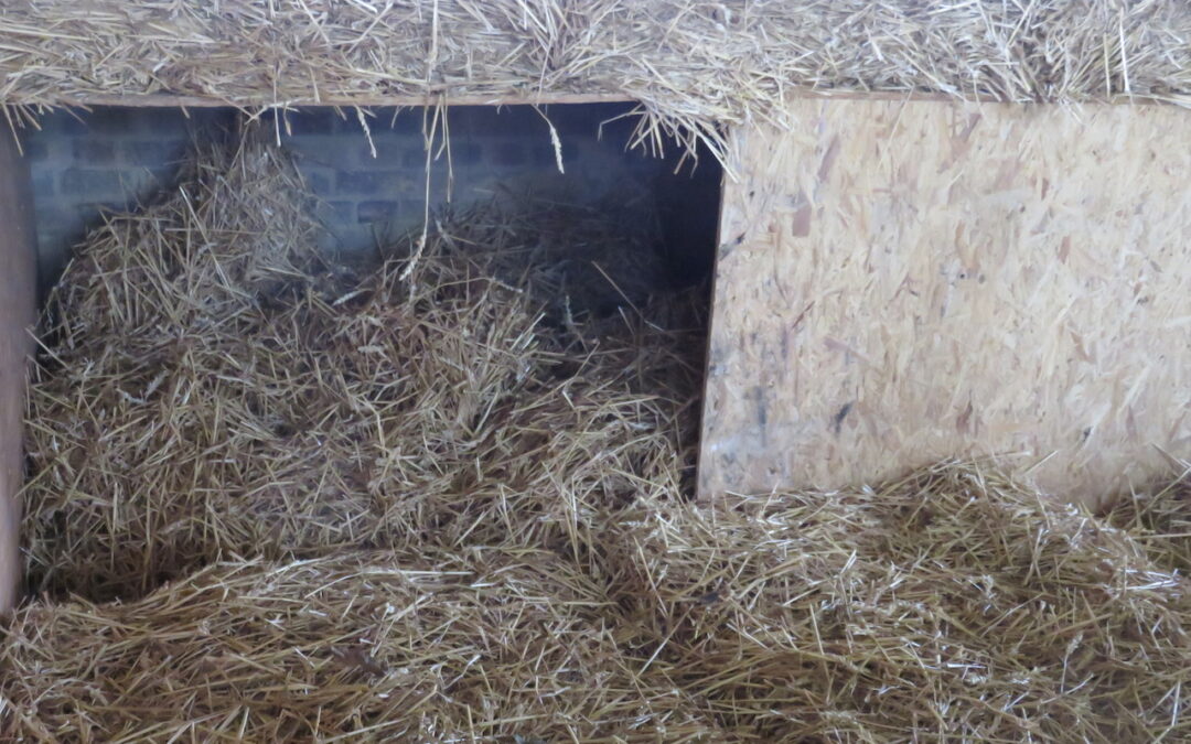 Ready for the arrival of piglets