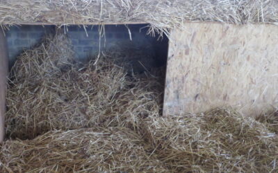 Ready for the arrival of piglets