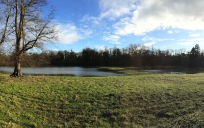 ‘Fordham Lake’ just for a day