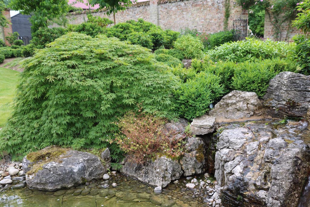 208243633_4334844333233266_3663445620127666698_n