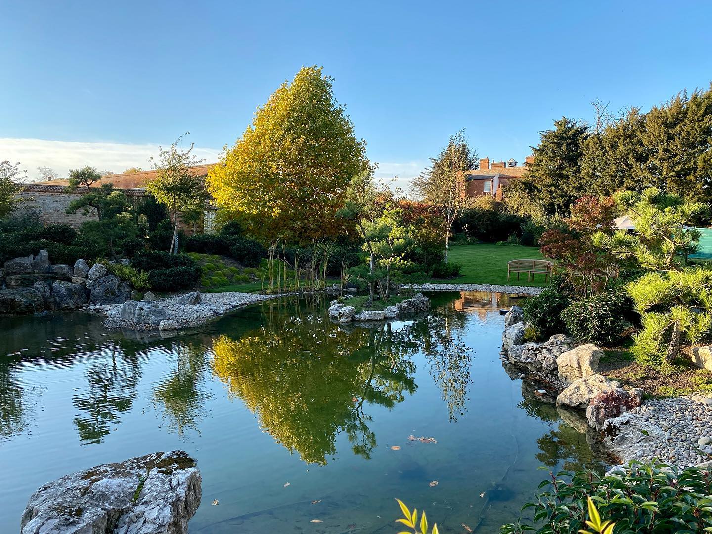 249210723_485868465790745_2720712449141452407_n