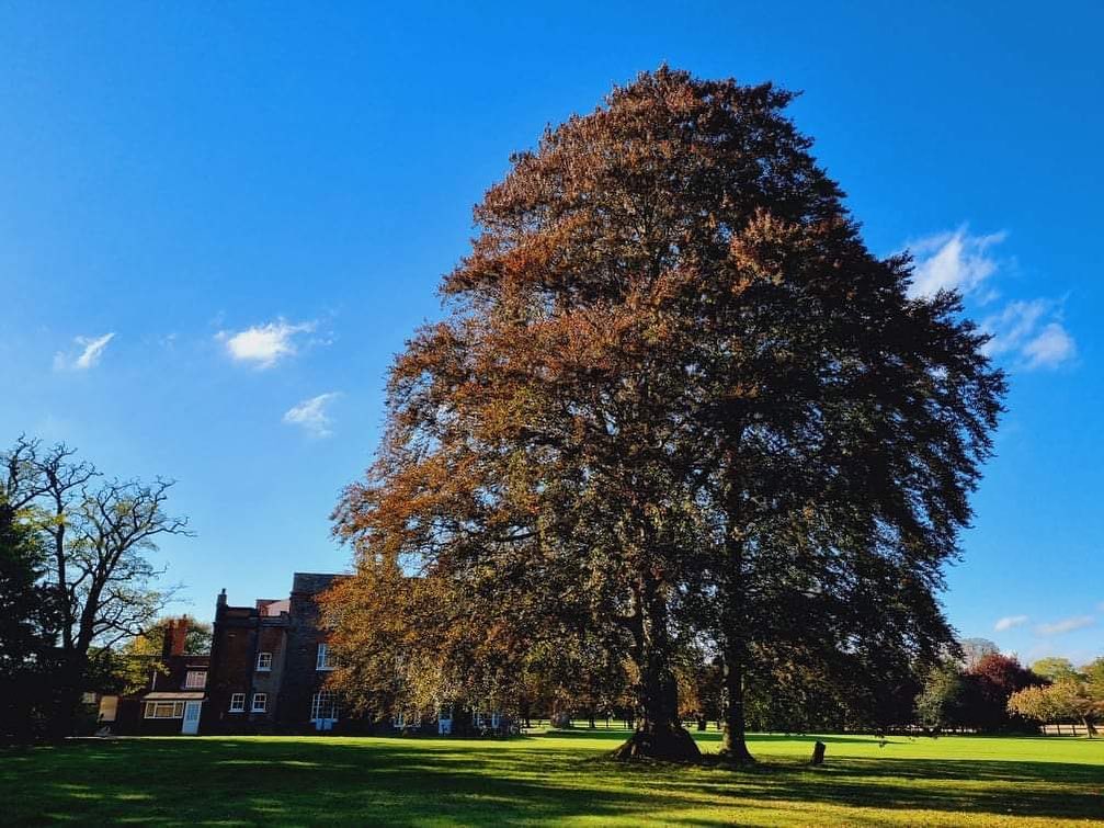 249866128_586204879261138_8689334077453175052_n