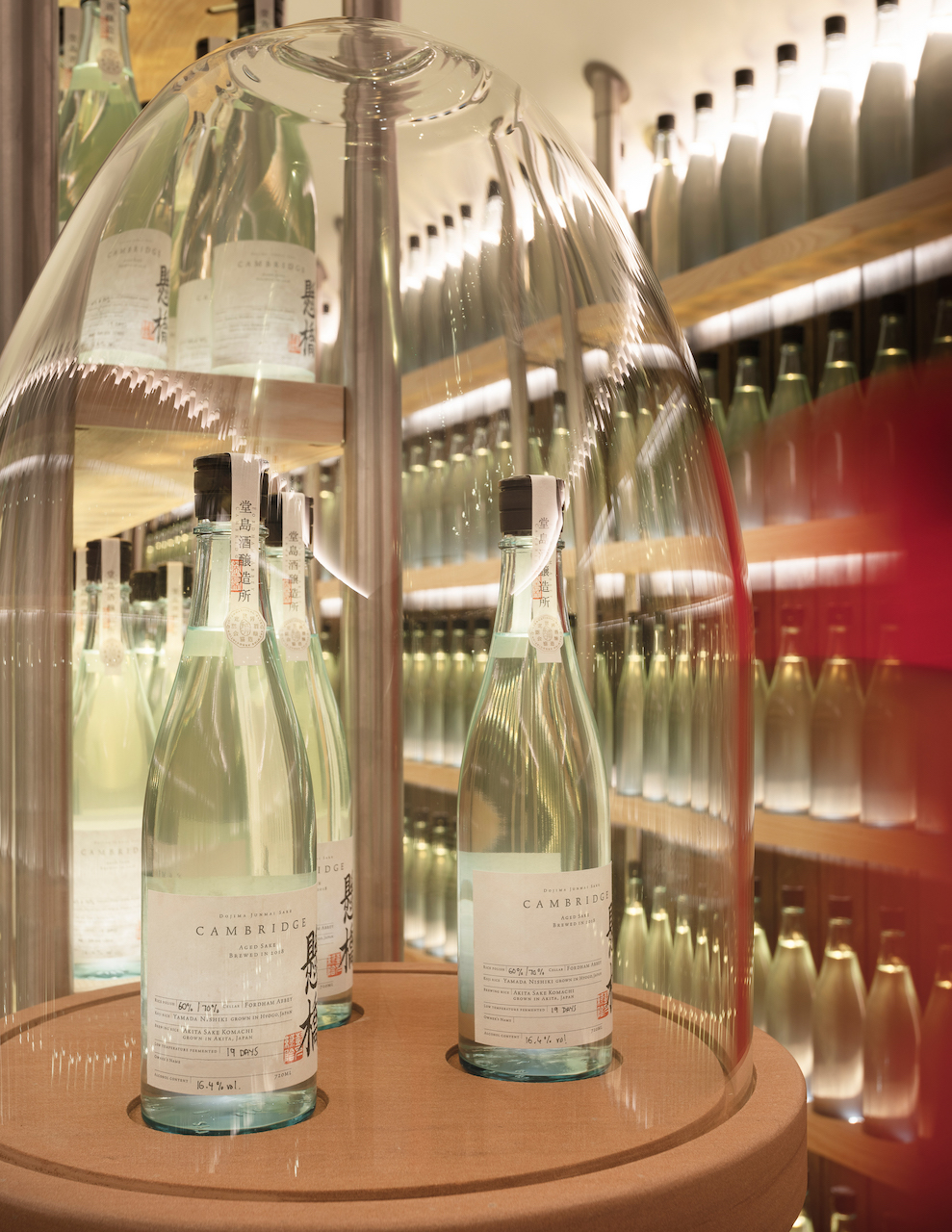 SBA_Dojima_RichardFraser_ForWeb-6